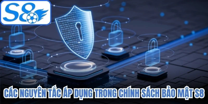 Các nguyên tắc áp dụng trong chính sách bảo mật S8