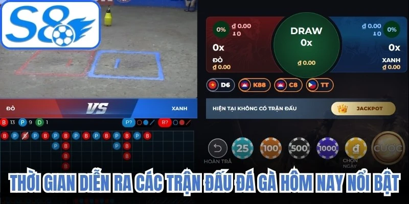 Thời gian diễn ra các trận đấu đá gà hôm nay nổi bật
