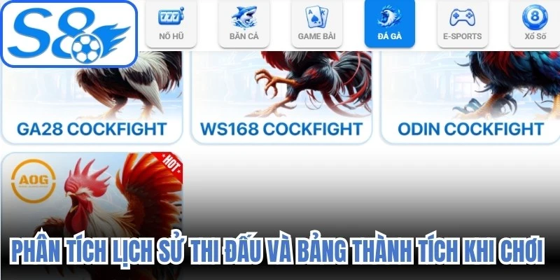 Phân tích lịch sử thi đấu và bảng thành tích khi chơi đá gà S8