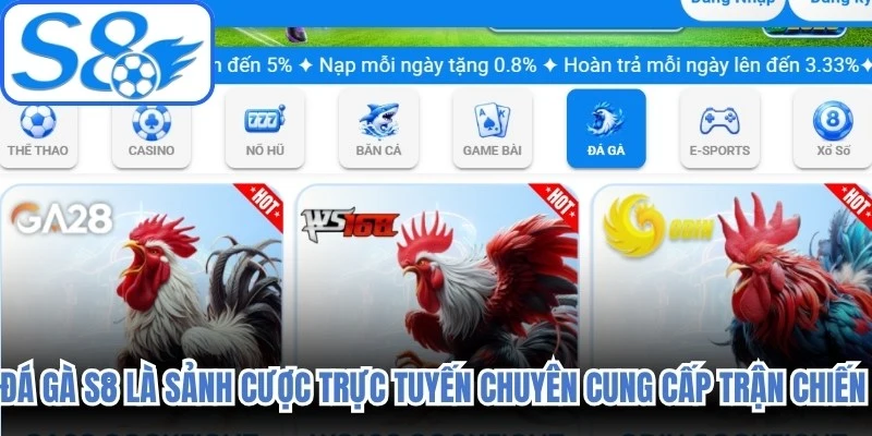 Đá gà S8 là sảnh cược trực tuyến chuyên cung cấp các trận chiến đỉnh cao