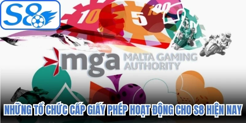 Những tổ chức cấp giấy phép hoạt động cho S8 hiện nay