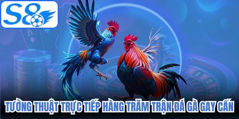 Nhà cái tường thuật trực tiếp hàng trăm trận đấu gay cấn